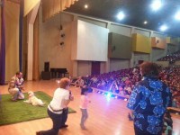 /album/dialogos-cursos-y-talleres/whatsapp-image-2017-04-03-at-2-19-06-pm-jpeg/